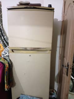 Waves Refrigerator / Fring