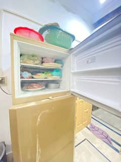 pel refrigerator condition 10/10