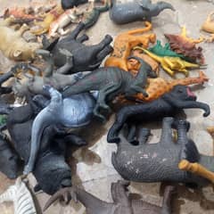 animals