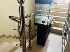 aquarium and accessories
