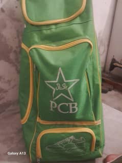 cricket