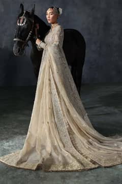 Brand: Afrozeh (Bridal Edit 24) lates edition