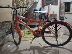 Bicycle Full size