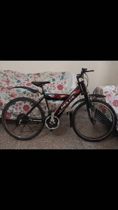 Bicycle for sale