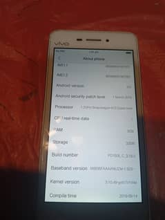 Vivo