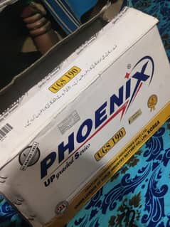 Phoenix