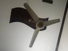 ac DC fan
