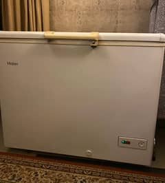 Haier single door freezer
