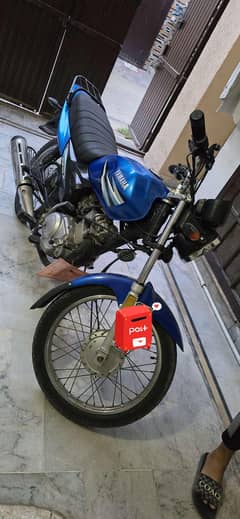 Yamaha ybz 2019 for sale golden number lush condition
