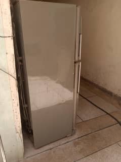fridge