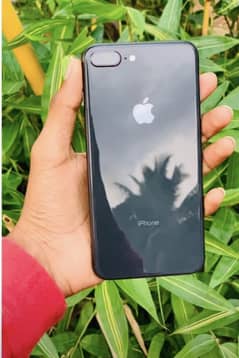 pTA i phone 8 plus orgnal just battery chang ji