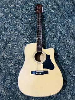 Semi Acoustic Guitar