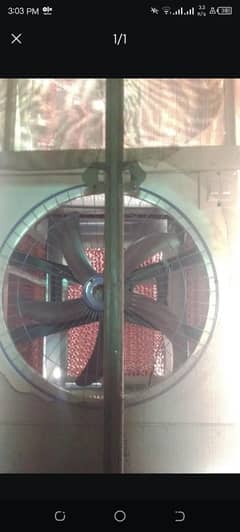 Air cooler