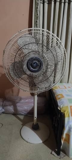 Pedestal Fans