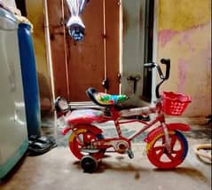 Bacchon cycle
