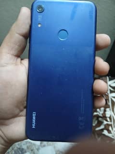 y6p 2019