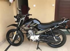 One hand used only serious buyers plx