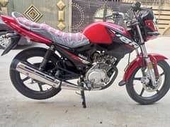 Yamaha YBR 125 2024