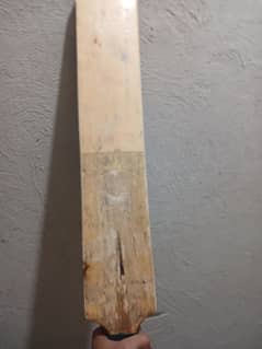 cricket kit