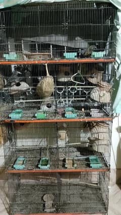 cage
