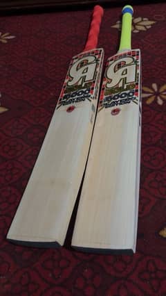 Cricket