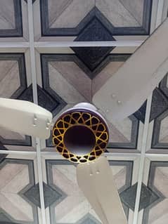 Meraj Fan Ceiling Fan