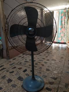 adil fan