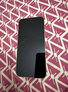 Iphone 12 pro max pta approved