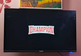 led for sale