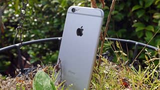 Apple iPhone 6 16 GB Silver & Gold Available NON PTA