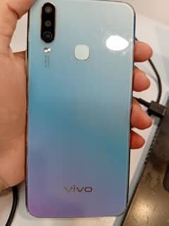 VIVO