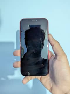 iphone xr approved