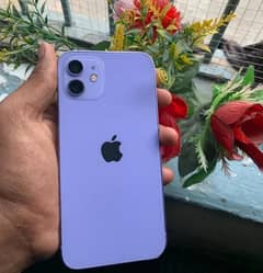 iphone 12 factory unlock 64gb 85health