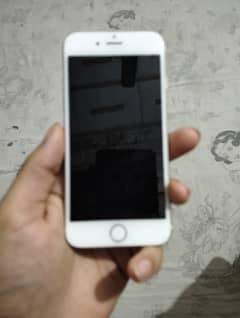 iPhone 6