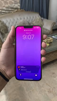 Iphone 13 pro max approved dual sim