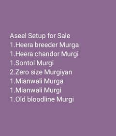 Aseel Setup For sale