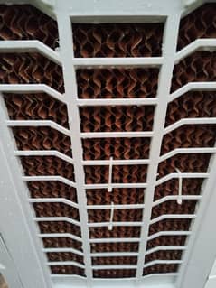 All ok 220 volt medium size