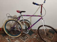 phoenix cycle 26 number