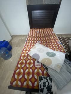 Used but looks new