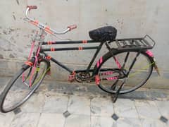 china cycle big size