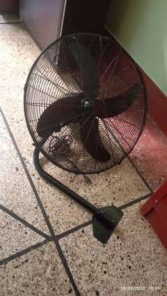 Royal fan