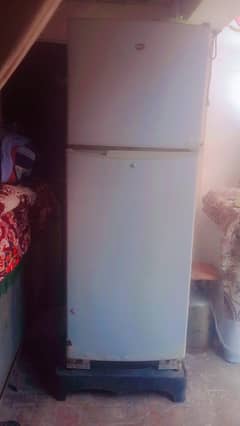 Pel original gas best Colling cc