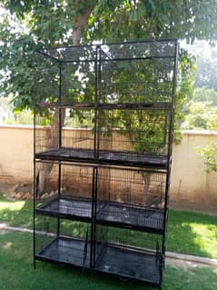 8 Portion Birds Cage