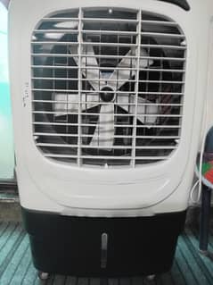 nasgass air cooler