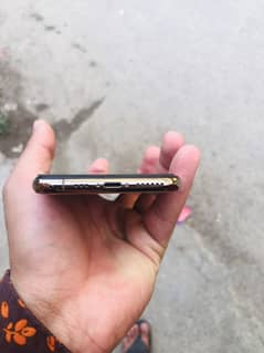 Xs