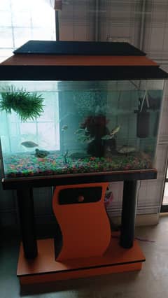 Aquarium
