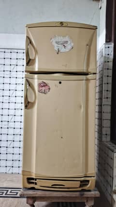 PEL Refrigerator