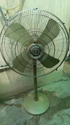 pak fan