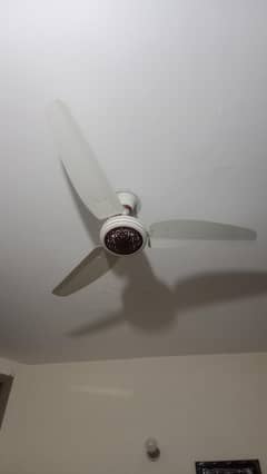 Royal Ceiling Fan – Excellent Condition – Best Price