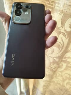 Y29
